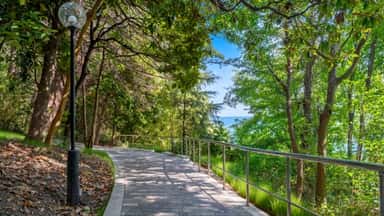 Terrenkur Health Trail
